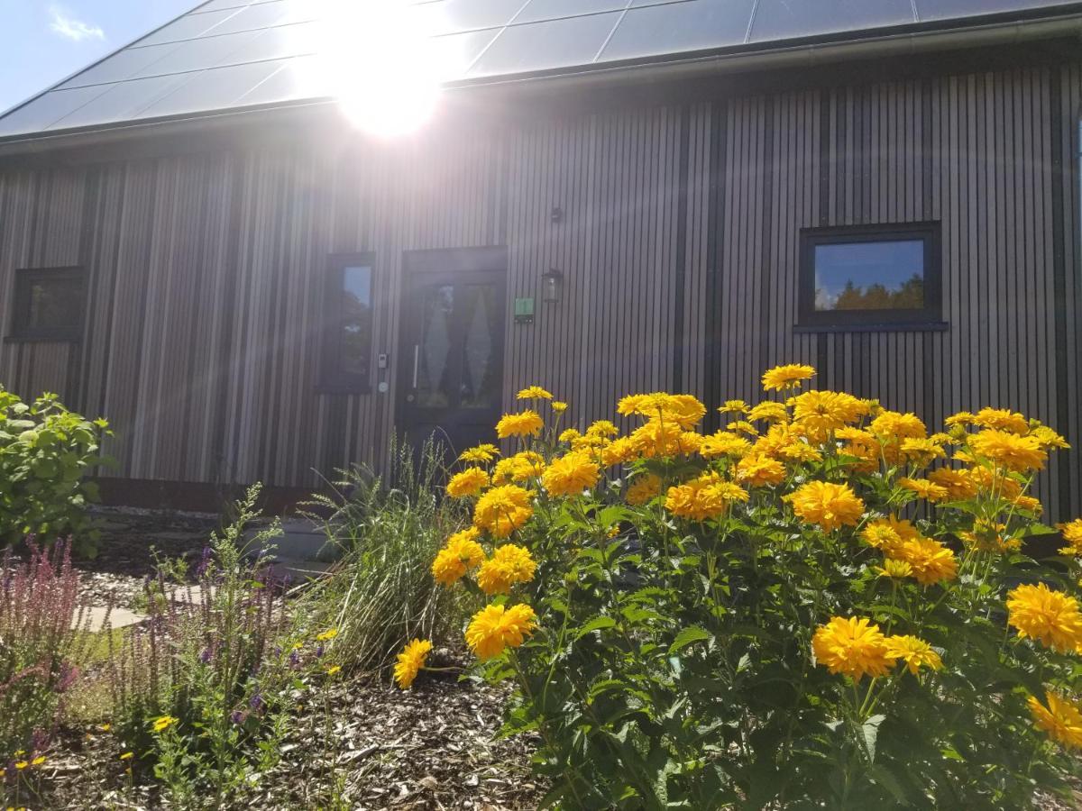 Haus Am See Rieste Exterior photo